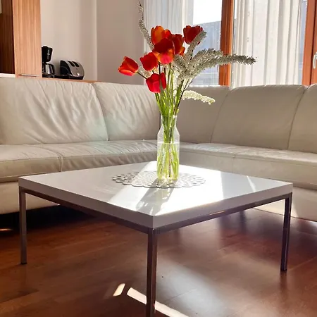 Apartment Mercury Two-bedroom Free Parking And Breakfast Available Optionally *